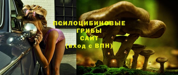прущие крисы Дмитровск