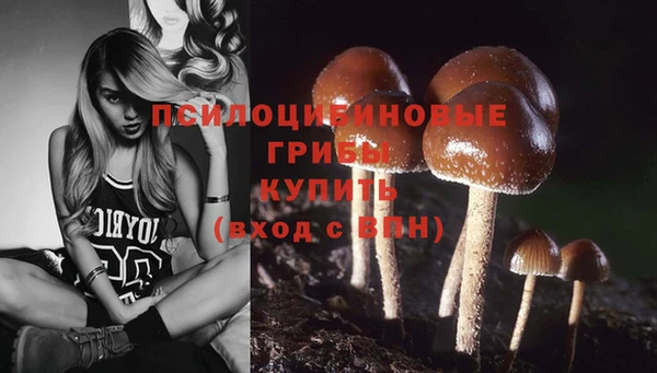 марки nbome Дмитриев